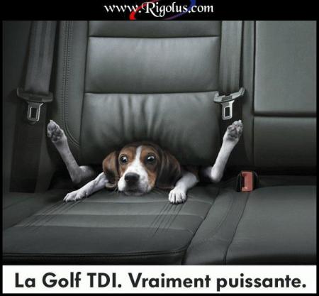Accroches-toi mon bébé!  lol